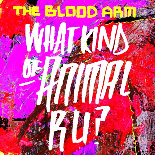 What Kind of Animal R U? (David Alexander Remix)-What Kind of Animal R U? 歌词完整版