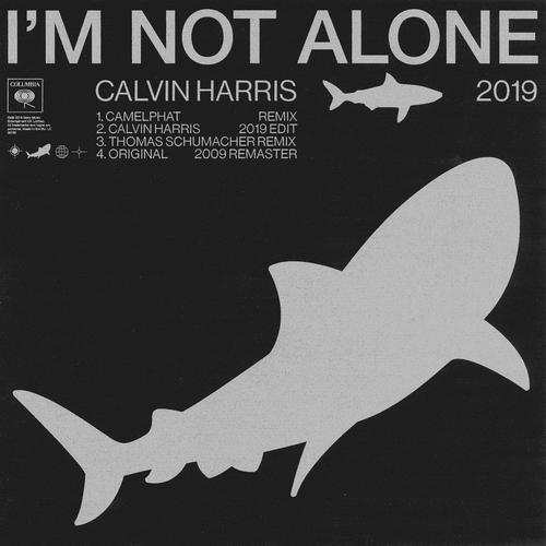 I'm Not Alone (Thomas Schumacher Remix)-I'm Not Alone 2019 求助歌词