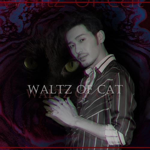 《猫的舞步/Waltz of cat》 ——白宇2019生日贺 他在林中漫步 幽暗的深处 有一束光指引谁的脚步_原唱是谁
