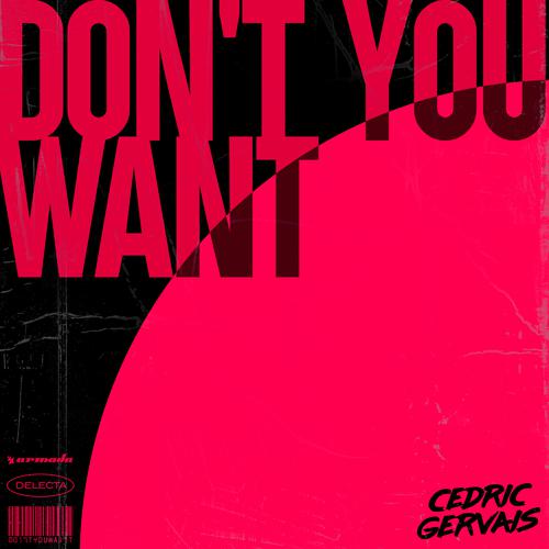 Don't You Want (Extended Mix)-Don't You Want lrc歌词