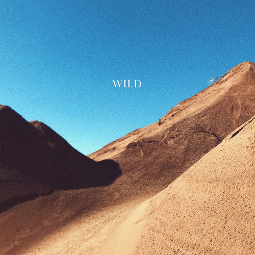 Wild-Wild lrc歌词