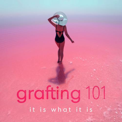 G.O.M.D.-Grafting 101 歌词完整版