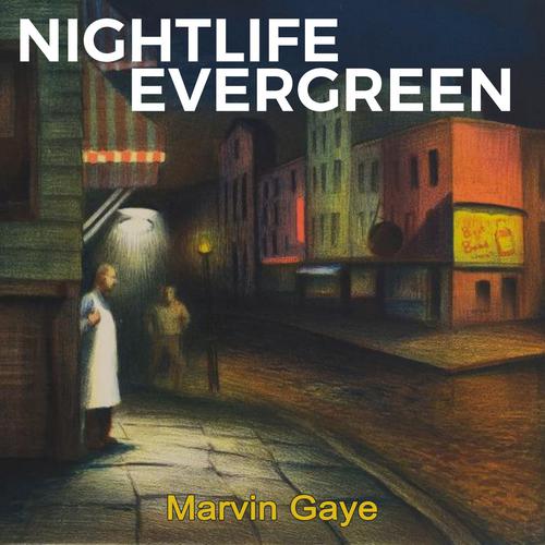 Let Your Conscience Be Your Guide-Nightlife Evergreen 求助歌词