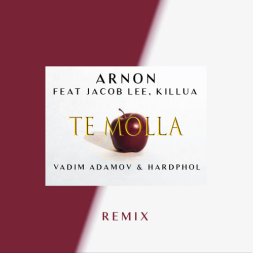 Te Molla (Vadim Adamov & Hardphol Remix)-Te Molla (Vadim Adamov & Hardphol Remix) 求助歌词