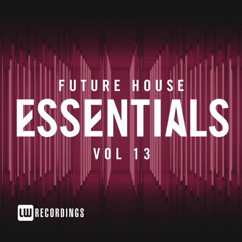 The Basement (Original Mix)-Future House Essentials, Vol. 13 求助歌词