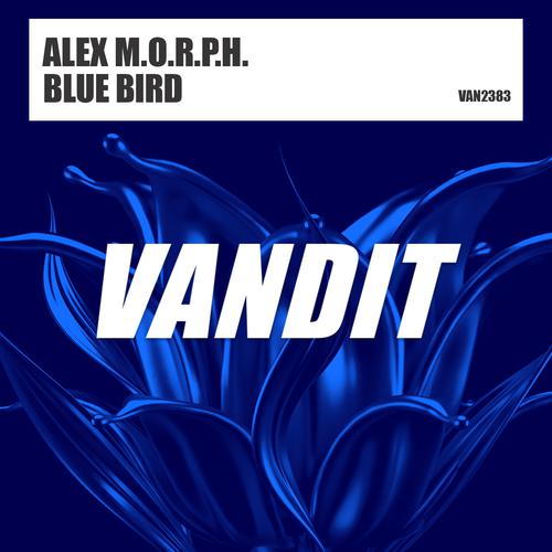 Blue Bird (Extended)-Blue Bird 歌词下载
