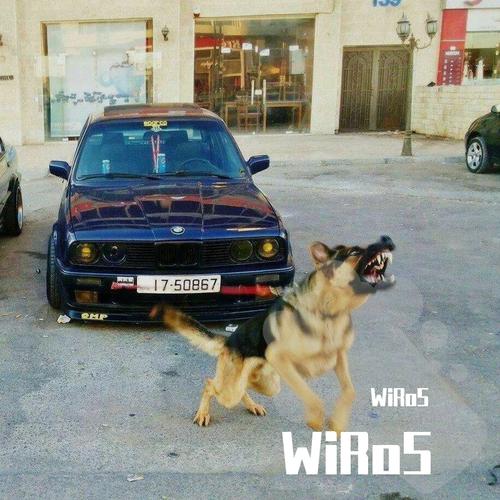 WiRoS-WiRoS 求歌词