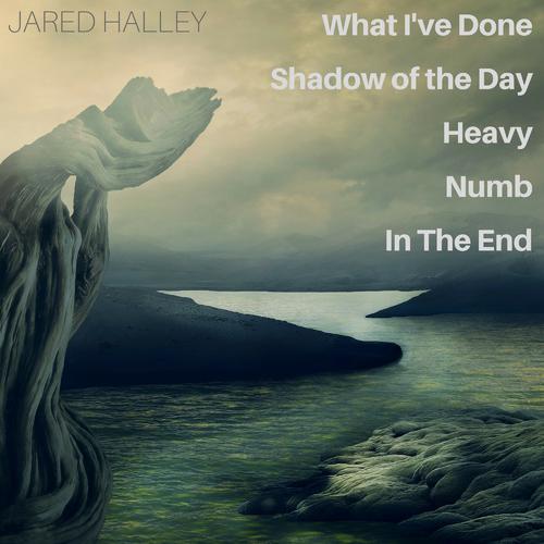 What I’ve Done / Shadow of the Day / Heavy / Numb / In the End-What I’ve Done / Shadow of the Day / Heavy / Numb / In the End 歌词