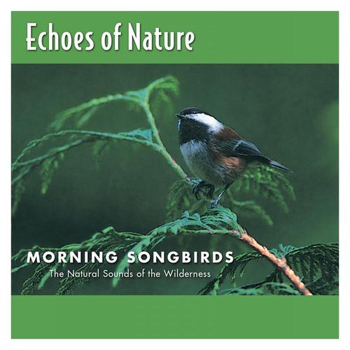 Bobwhite, Dover & Cardinals-Morning Songbirds 求歌词