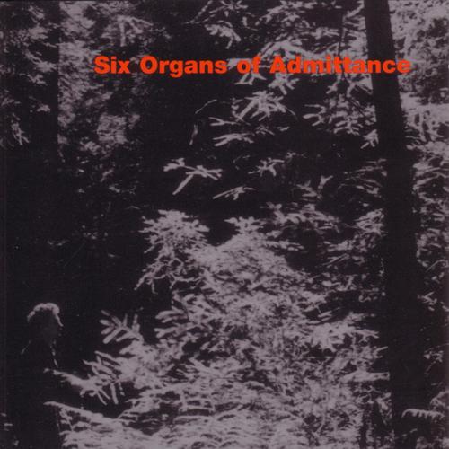 Shadow of a Dune-Six Organs of Admittance lrc歌词