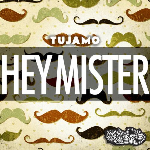 Hey Mister (Original Mix)-Hey Mister lrc歌词