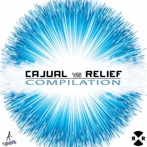 We Can Make It (Original Mix)-Cajual Vs Relief Compilation lrc歌词