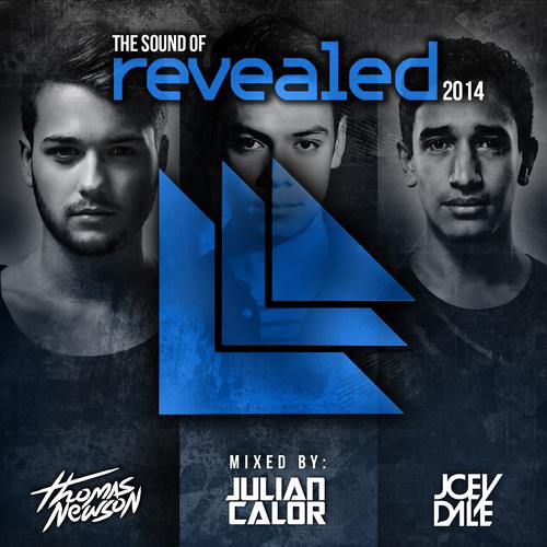 Ravefield (Edit)-The Sound Of Revealed 2014 求歌词
