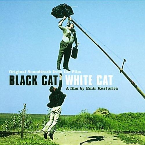 Hunting [Dr. Nelle Karajlic]-Black Cat, White Cat 求助歌词