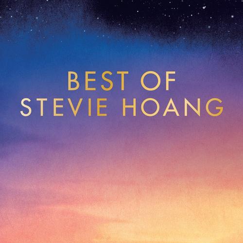 Fight For Love feat. CIMBA-Best of Stevie Hoang 求歌词
