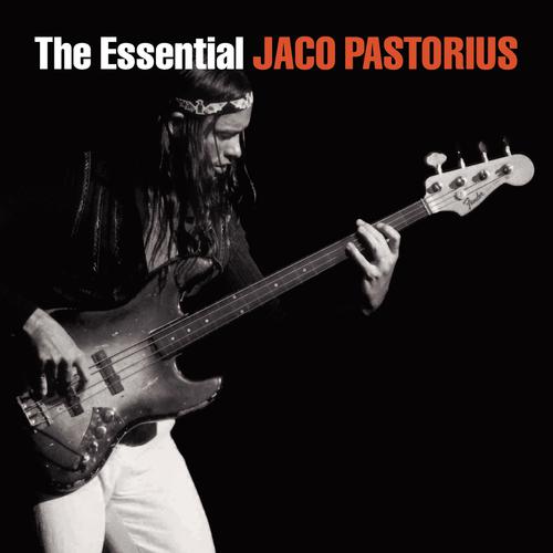 Havona-The Essential Jaco Pastorius 求歌词