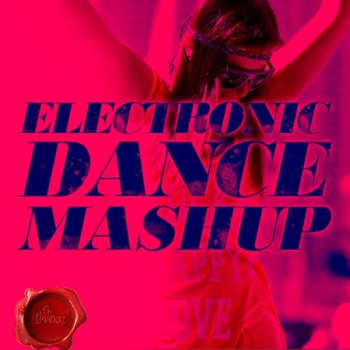 Let's Go Disco (DJ Hyo and Technoposse Radio Edit)-Electronic Dance Mash Up Louder 歌词完整版