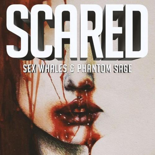 Scared-Scared lrc歌词