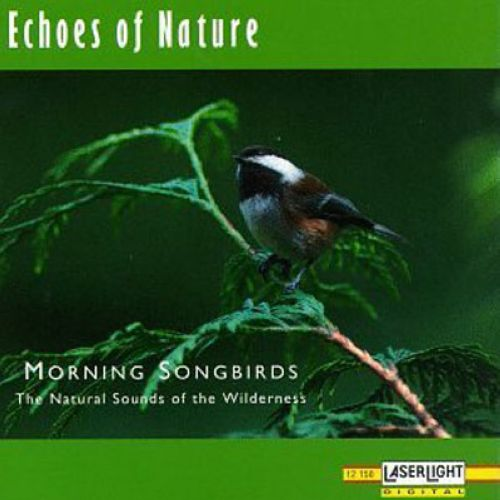Bobwhite, Dover & Cardinals-Echoes of Nature: Morning Songbirds 歌词完整版