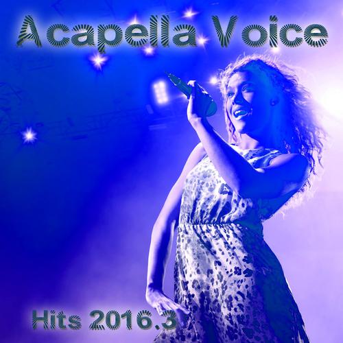 Lost on You (Acapella Vocal Version BPM 122)-Acapella Voice Hits 2016.3 歌词下载