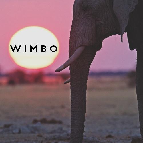 Wimbo (Original Mix)-Wimbo 歌词下载