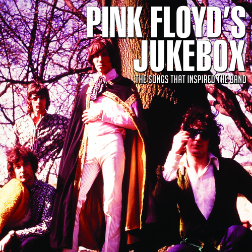 Heart Full Of Soul-Pink Floyd's Jukebox 歌词下载