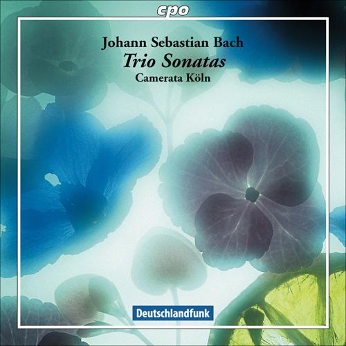 Viola da Gamba Sonata in G Minor, BWV 1029 (arr. for chamber ensemble):II. Adagio-BACH, J.S.: Trio Sonatas - BWV 525, 527, 1027,