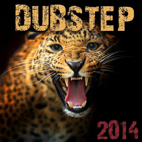 My Money (Dubstep 2014 Mix)-Dubstep 2014 歌词完整版