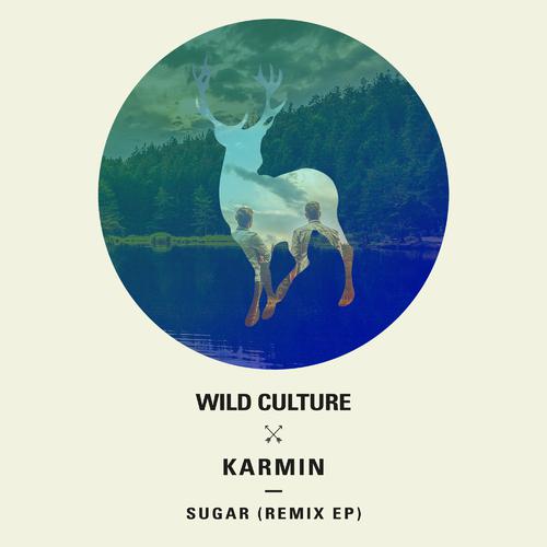 Brave (Wild Culture vs. Riley Pearce) (Heart Mix)-Sugar (Remix) lrc歌词
